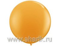 1109-0097 5,5' (165см) Оранжевый