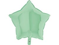  1204-0877 Г Б/РИС ЗВЕЗДА 18" Пастель Matte Green