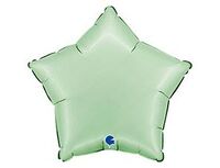 1204-1674 Г Б/РИС ЗВЕЗДА 18" Сатин Glazed Mint	