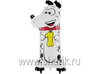 1207-1683 Г ЦИФРА 1 36" Далматин	
