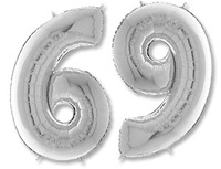 1207-3204 Г ЦИФРА 6/9 26" Silver	