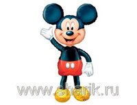 1208-0019 А ХОД/P80 Микки