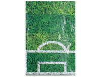 1502-2030 Скатерть п/э Футбол зеленый 1,2мх1,8м/Р