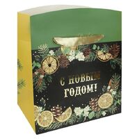 1509-2372 Пакет-коробка бум Аромат зимы 23х20х14см