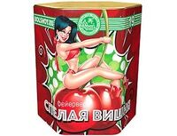1510-0076 Батарея салютов СпелаяВишня 19залп 45сек