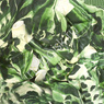 M 12"/30см Многоцветный Green 25шт