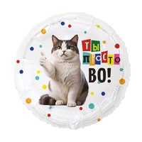 1202-4353 К 18" РУС ТЫ ПРОСТО ВО Кот забавный